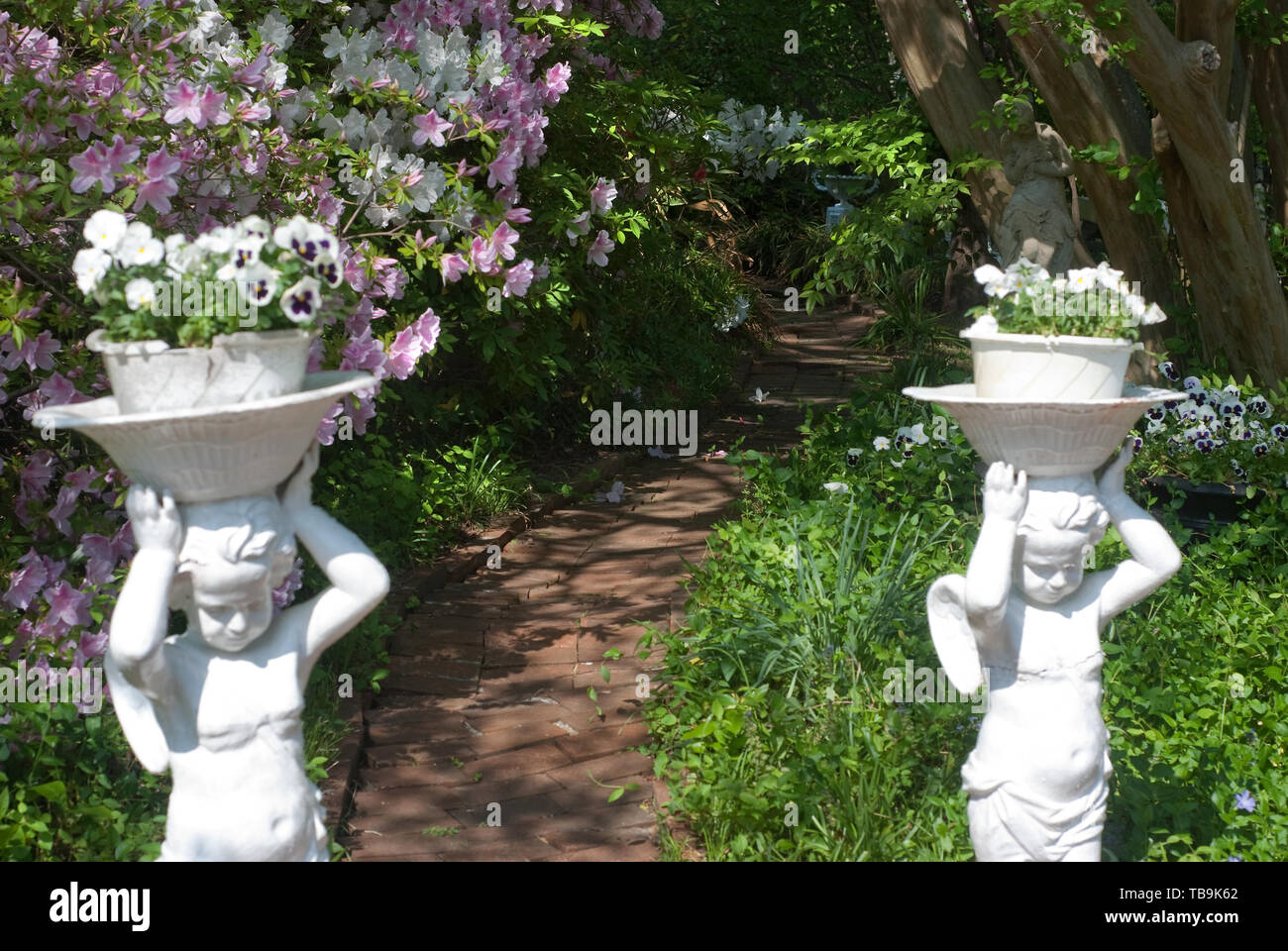 Concrete planters bearing pansies flank a shady, azalea-lined path in the gardens of Rosewood Manor in Columbus, Mississippi, April 16, 2010. Stock Photo