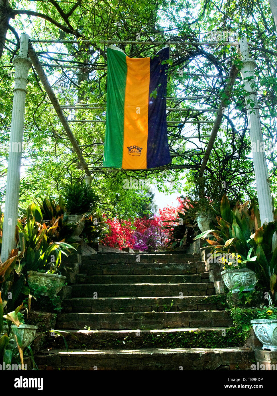 mardi gras rosewood