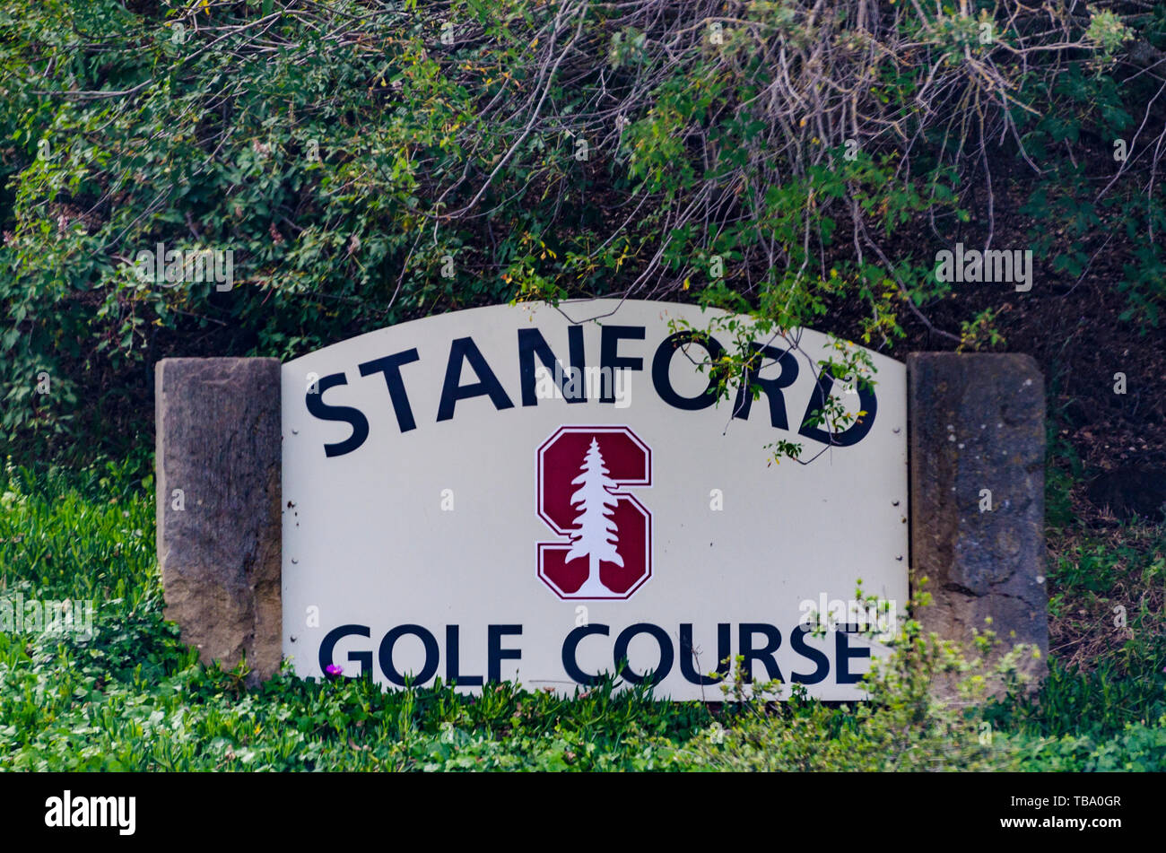 Stanford Golf Course Palo Alto California Stock Photo Alamy Stanford Golf Course Palo Alto California Stock Photo Alamy