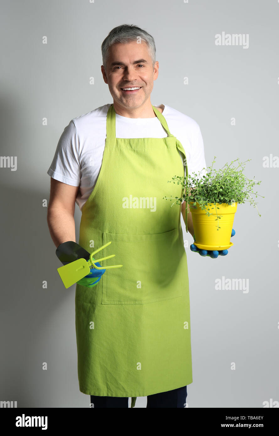 Mature male gardener on grey background Stock Photo