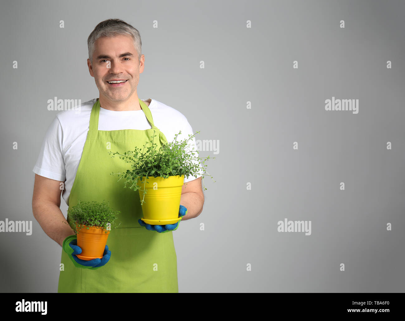 Mature male gardener on grey background Stock Photo