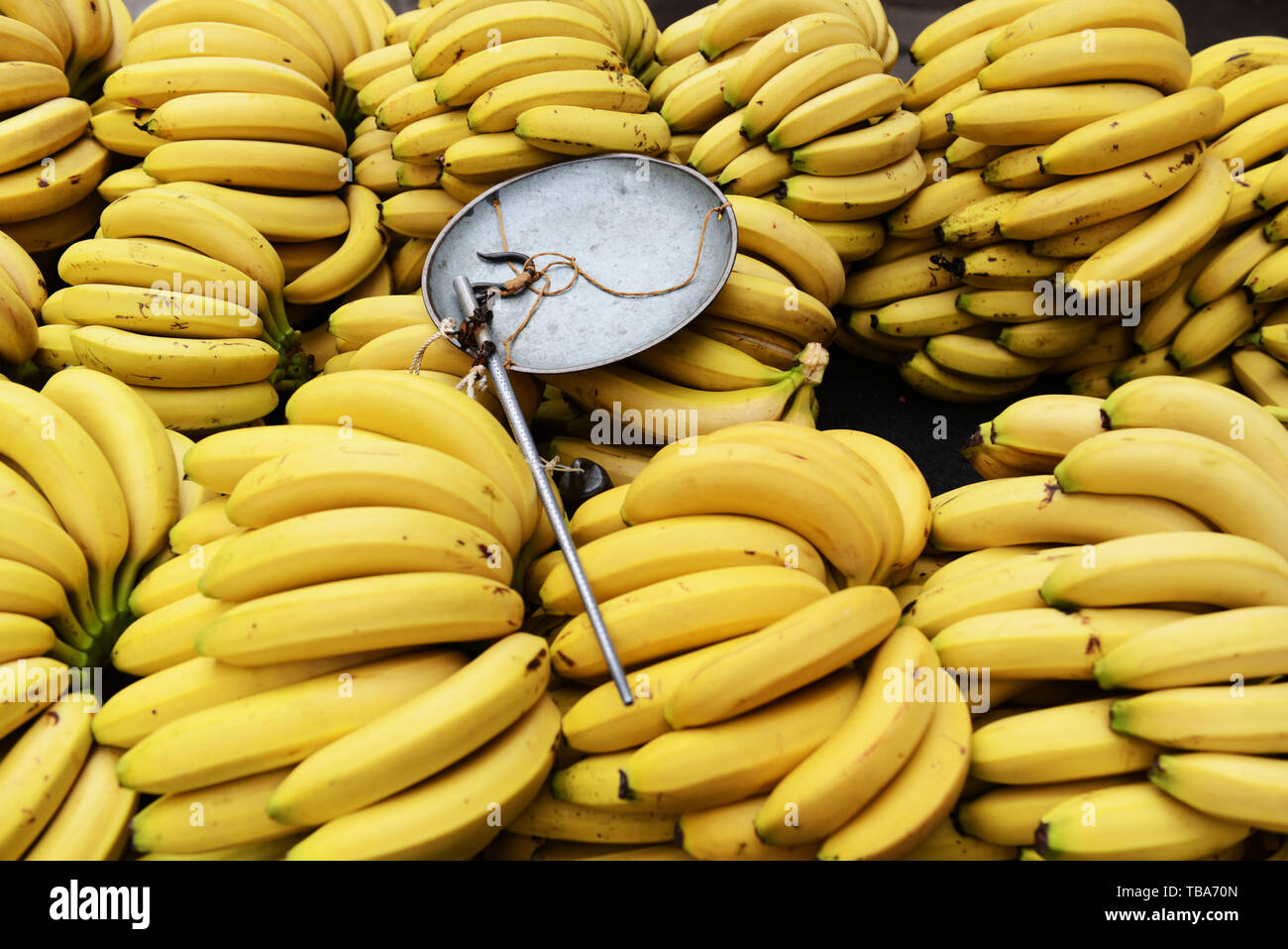 Chinese yellow banana hires stock photography and images Alamy
