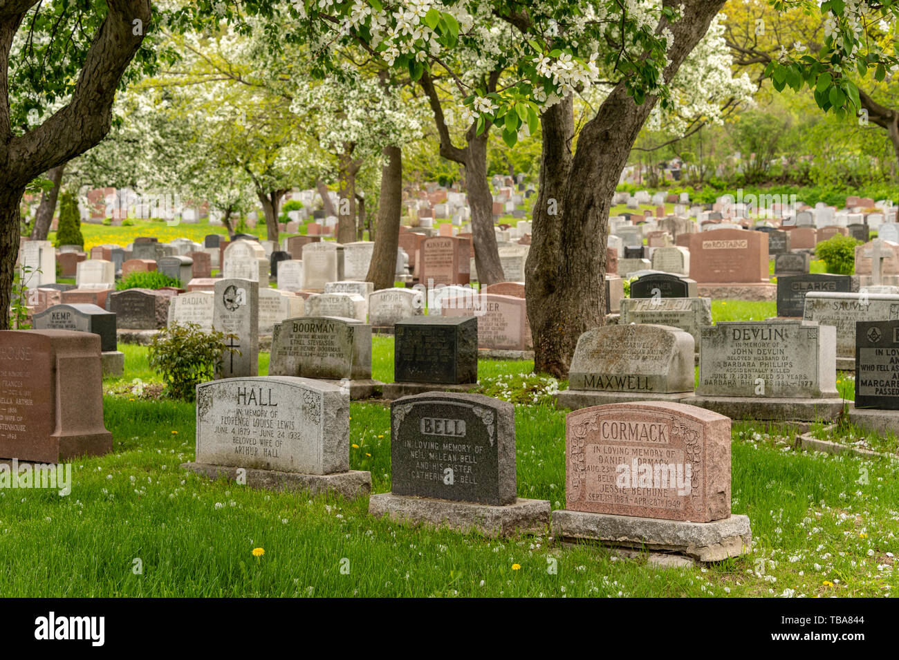 Montreal, CA - 30 May 2019: Headstones in Montreal cemetery in the Springtime Stock Photo