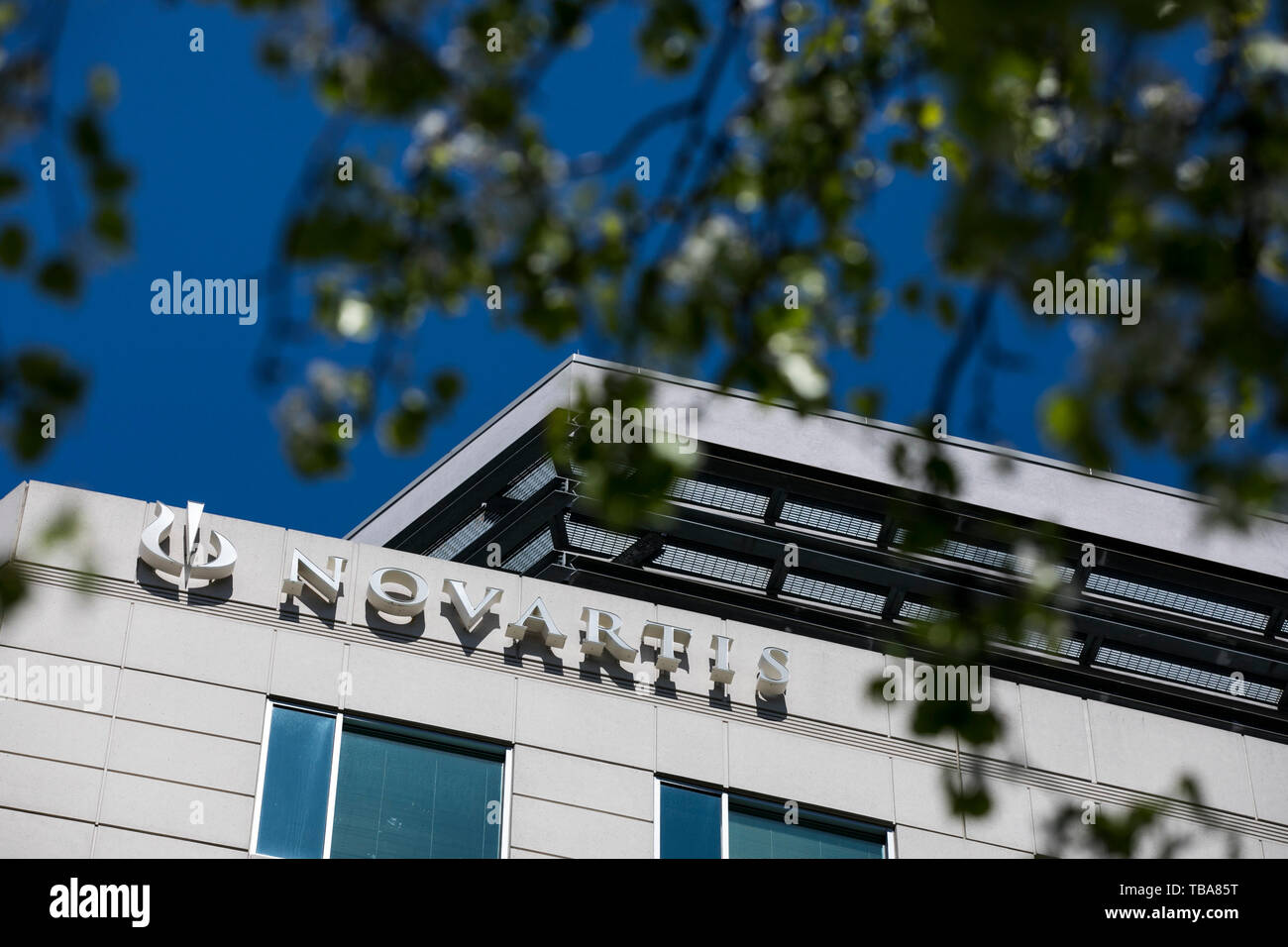 A logo sign outside of a facility occupied by Novartis International in Cambridge, Massachusetts on April 29, 2019. Stock Photo