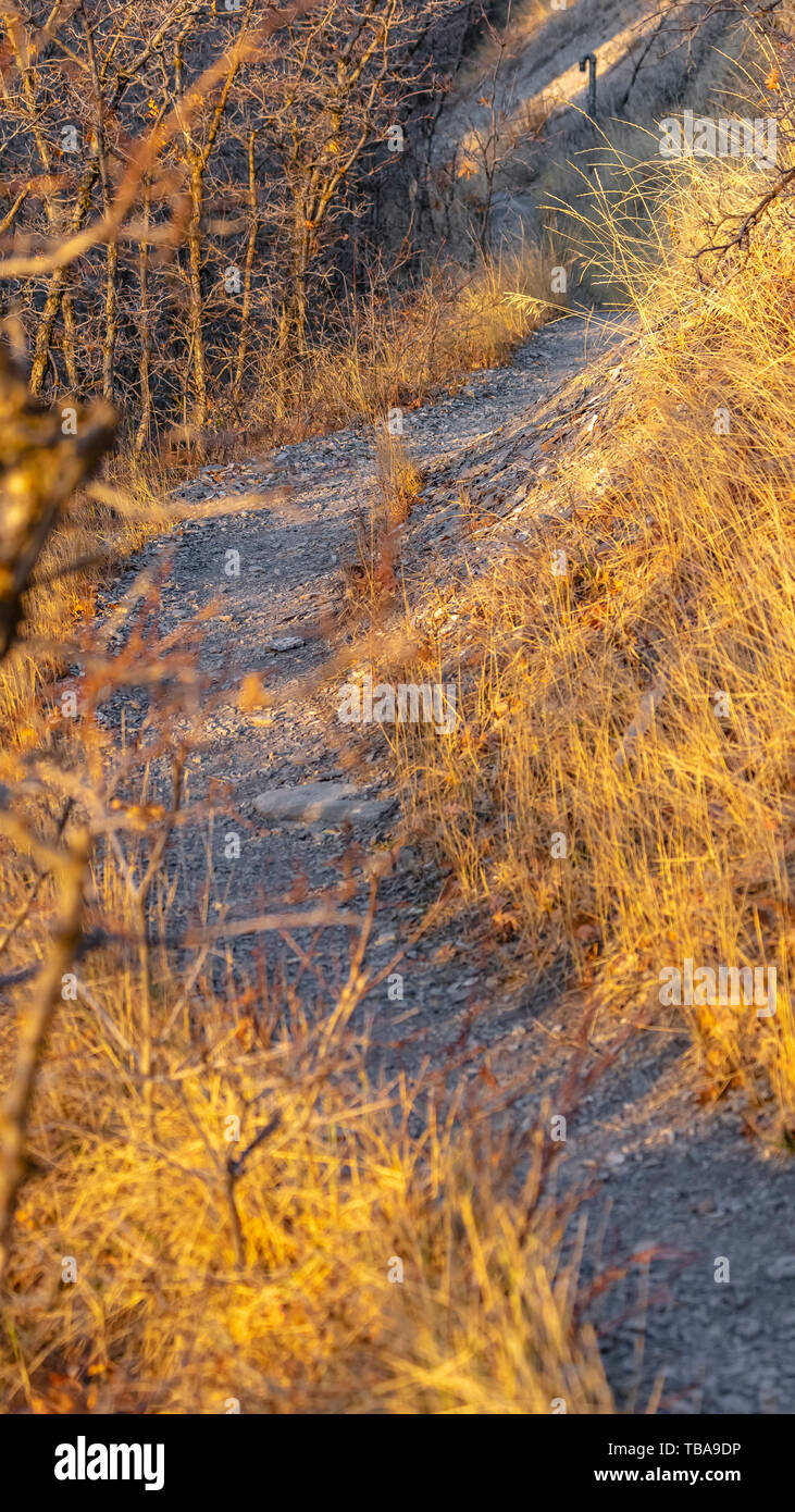 Curvy trail hi-res stock photography and images - Alamy