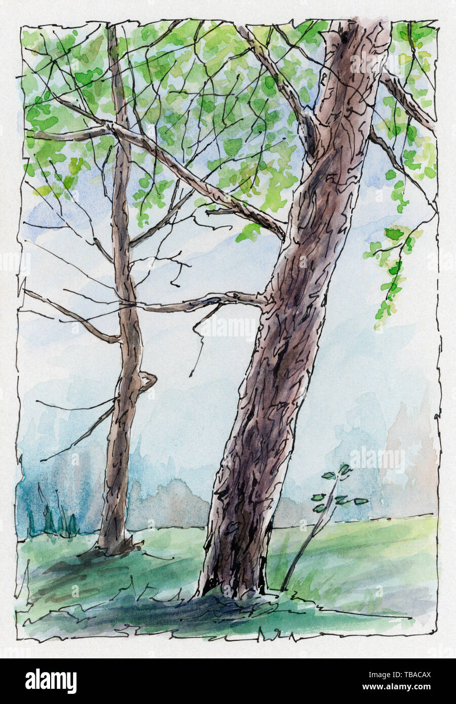 Two trees. Ink and watercolor on cardboard. Stock Photo