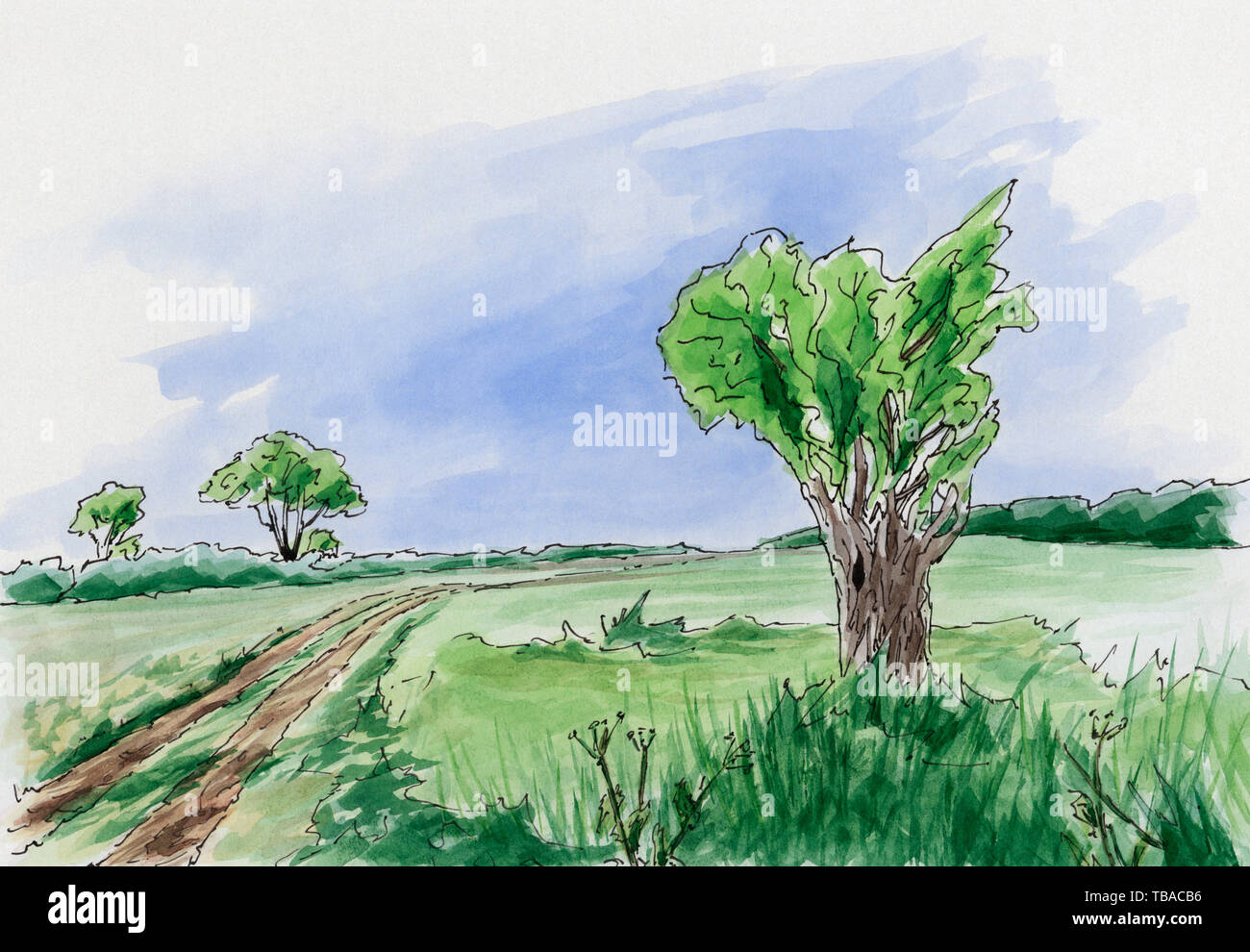 Landscape with tree and rural road. Loose sketch. Ink and watercolor on cardboard. Stock Photo