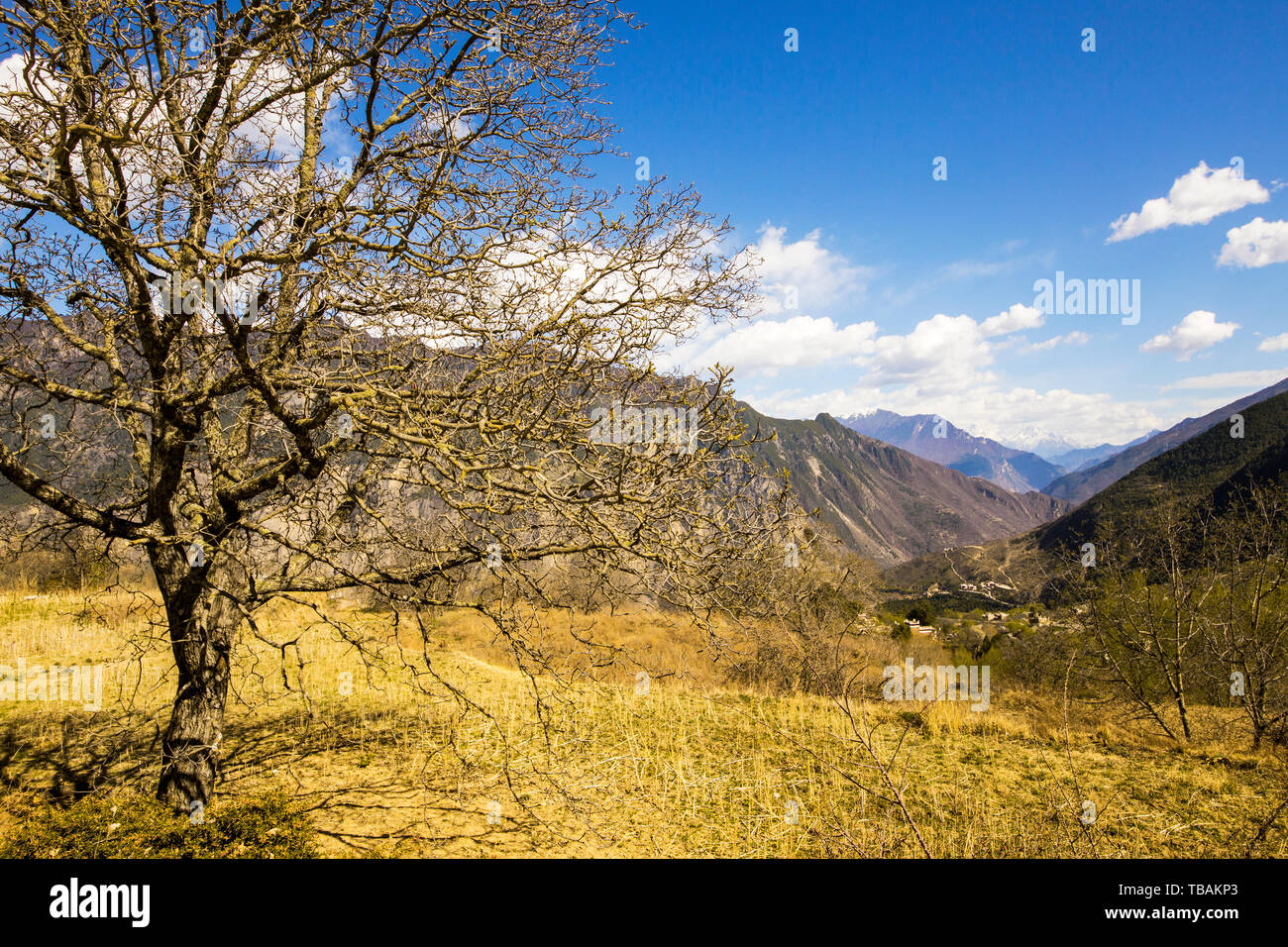 Ancient photography hi-res stock photography and images - Alamy