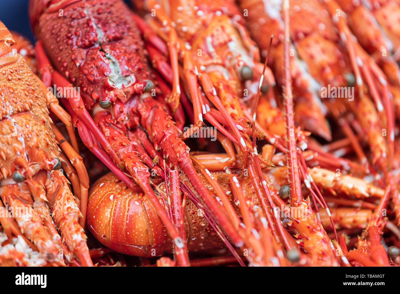 Tokyo, Japan Street in Tsukiji outer market near Ginza with closeup display of cooked or raw lobster background Stock Photo