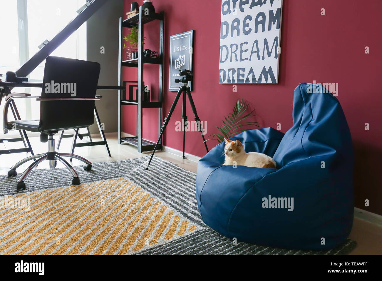 Cute Cat Sitting On Bean Bag Chair In Interior Of Room Stock