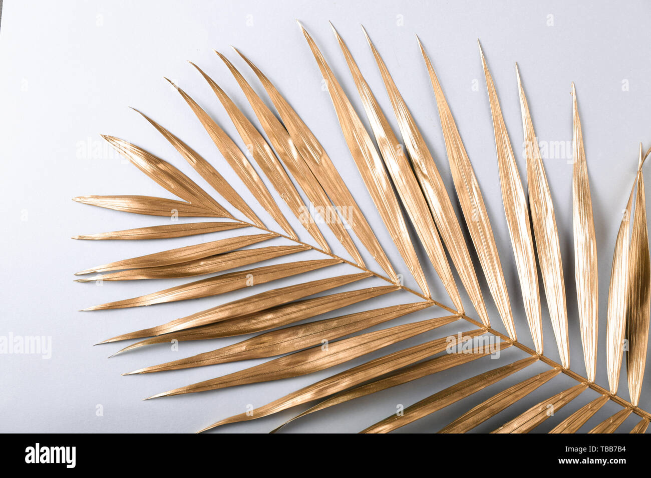 Golden palm leaf on light background Stock Photo - Alamy