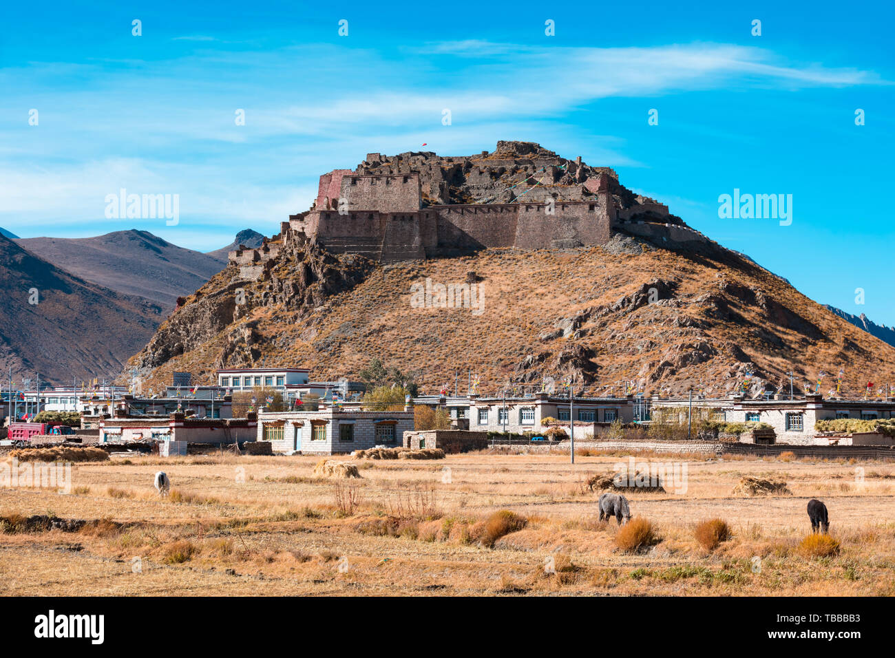 Tallong Castle, Shannan, Tibet Stock Photo