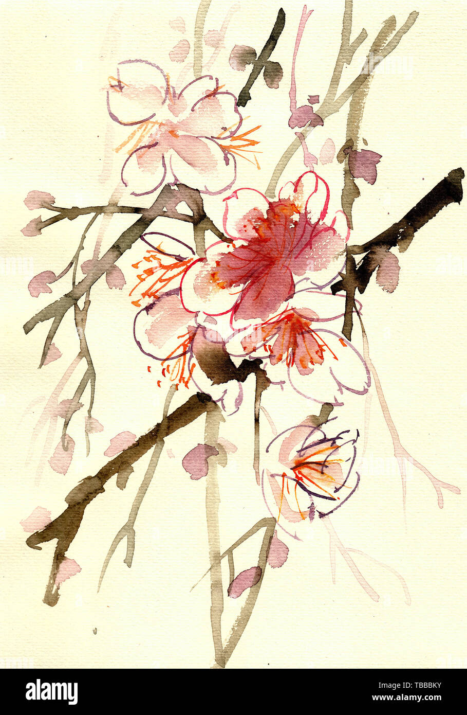 Peach Blossom Watercolor Art Ten Miles Peach Blossom Wedding Chinese Painting Style Ink Painting Hand Drawn Spring Watercolor Painting Flowers Stock Photo Alamy