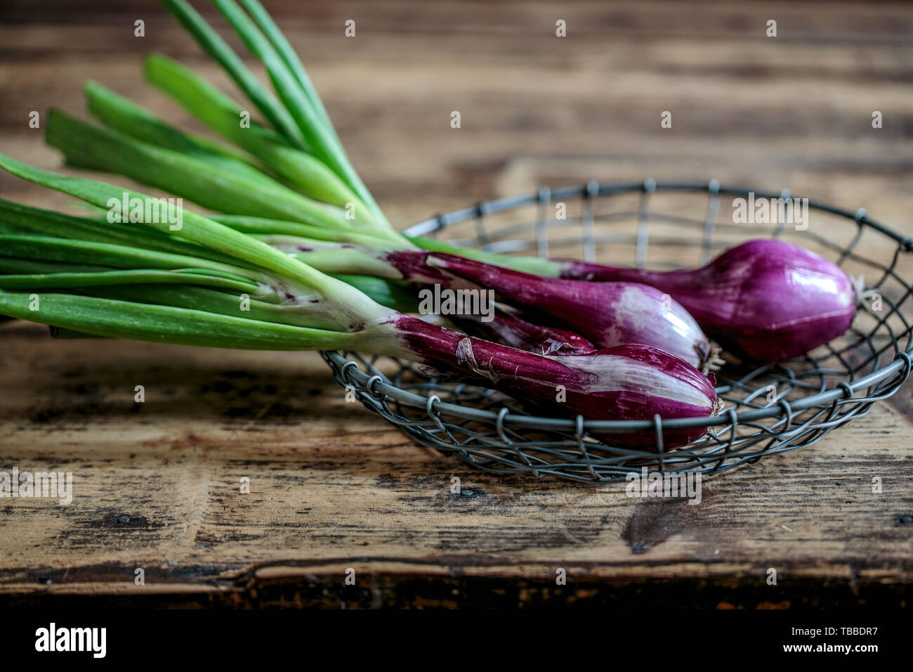 Studio Still Life with fresh Scallions or Spring Onions Stock Photo