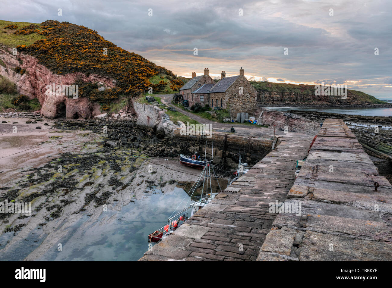 Old cove harbour cockburnspath hires stock photography and images Alamy