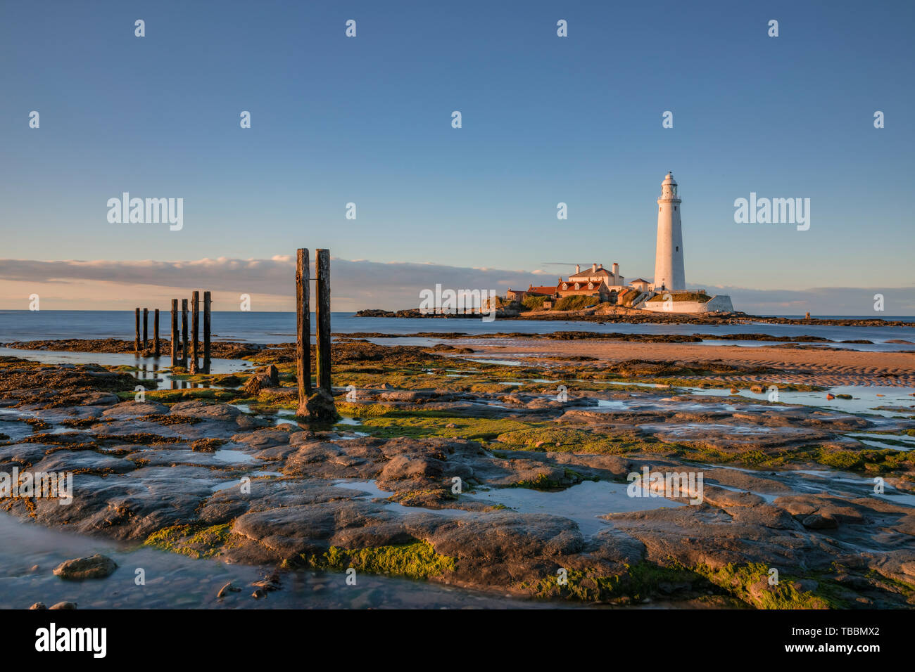 St Mary's Lighthouse, Withley, Tyne and Wear, UK, Europe Stock Photo