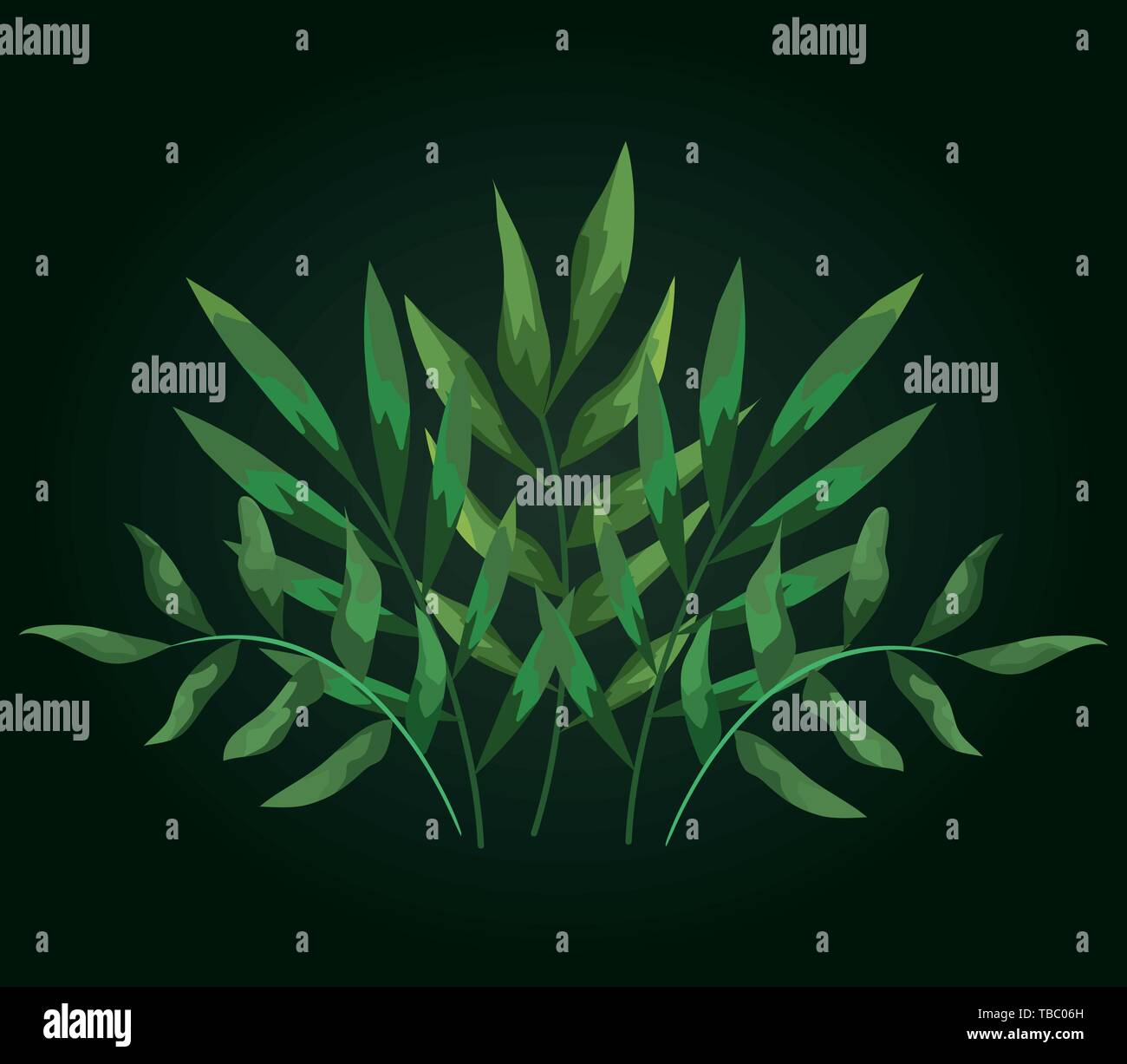 nature leaves exotic plants design Stock Vector Image & Art - Alamy