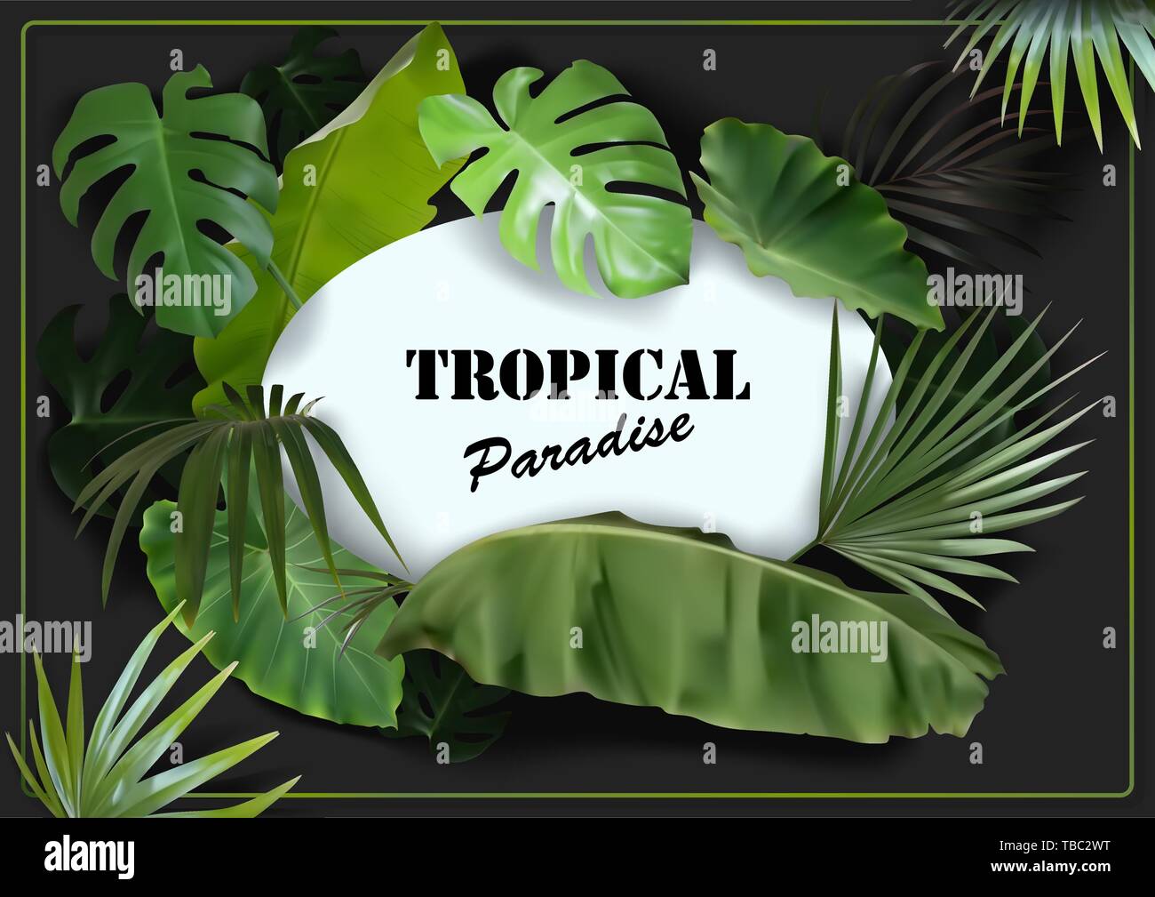 Green Tropical Leaves Background Stock Vector Image & Art - Alamy
