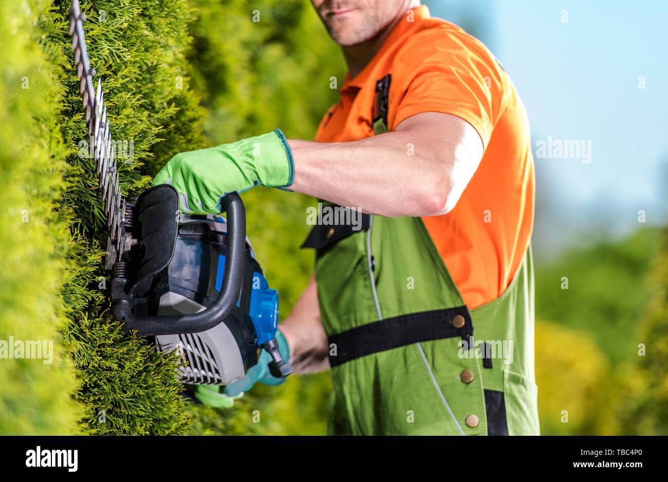 Hedge Trimmer Garden Work. Caucasian Gardener with Trimming Power Tool Closeup Photo. Stock Photo