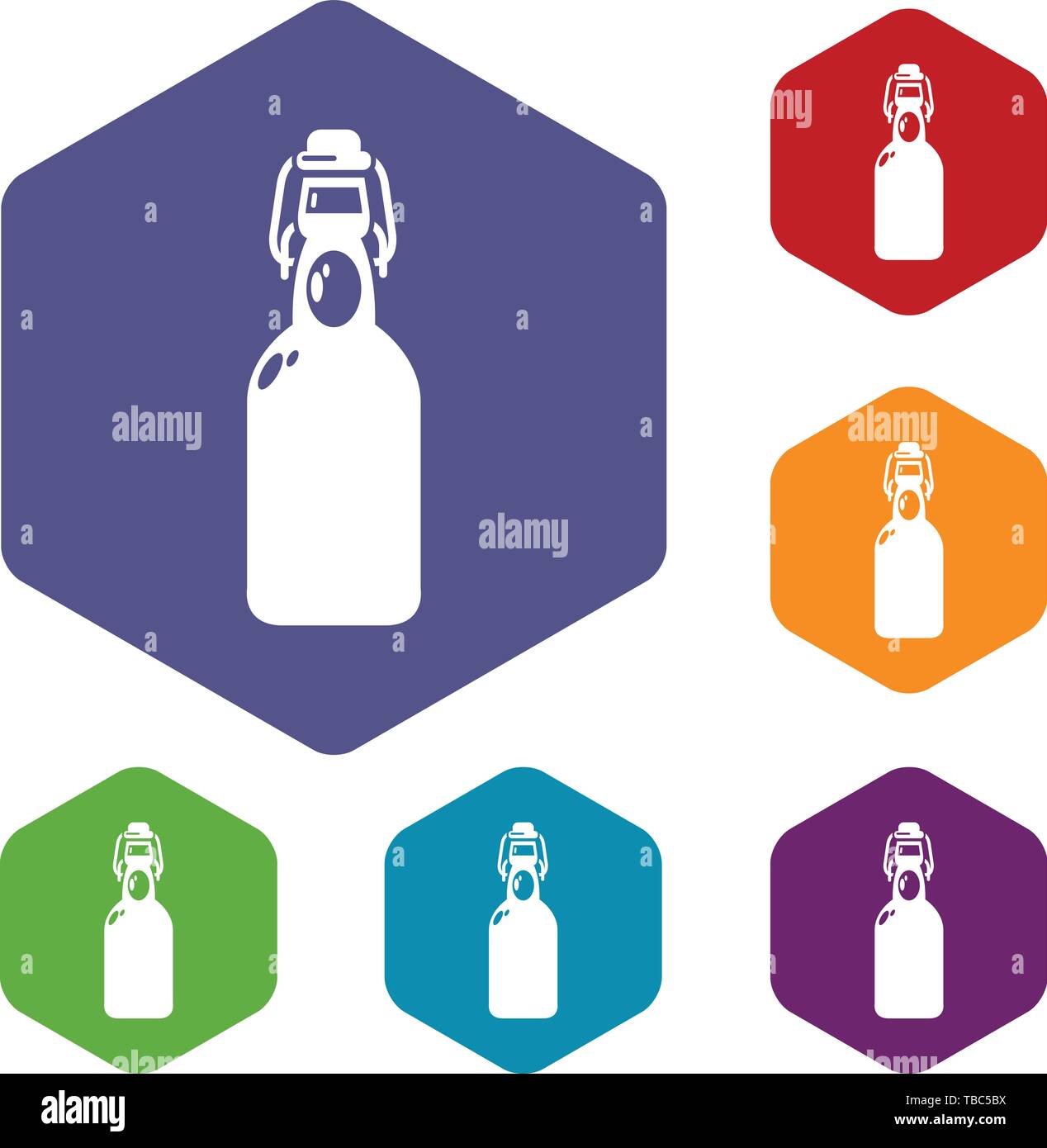 Bottle with bung icons vector hexahedron Stock Vector