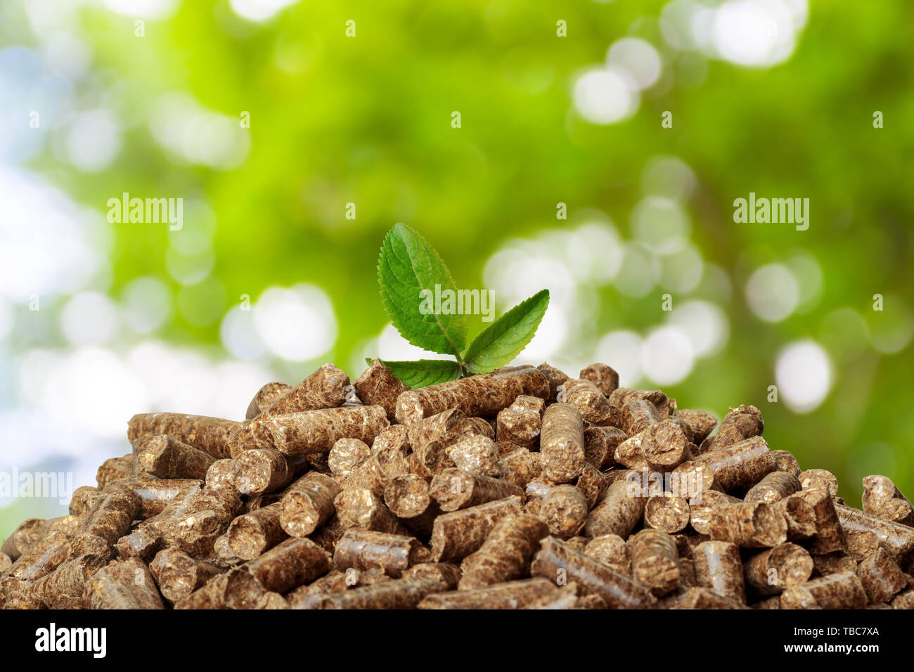 Wood pellets on a green background. Biofuels Stock Photo - Alamy