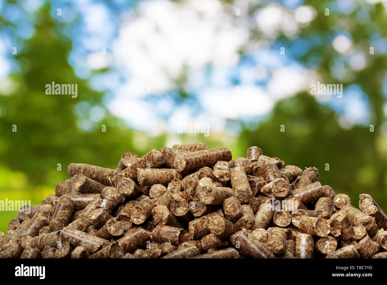 Wood pellets on a green background. Biofuels. Stock Photo