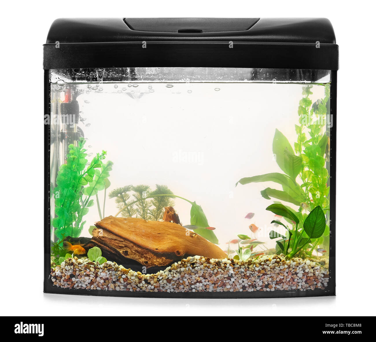 Unduh 76 Koleksi Background Aquarium White Gratis