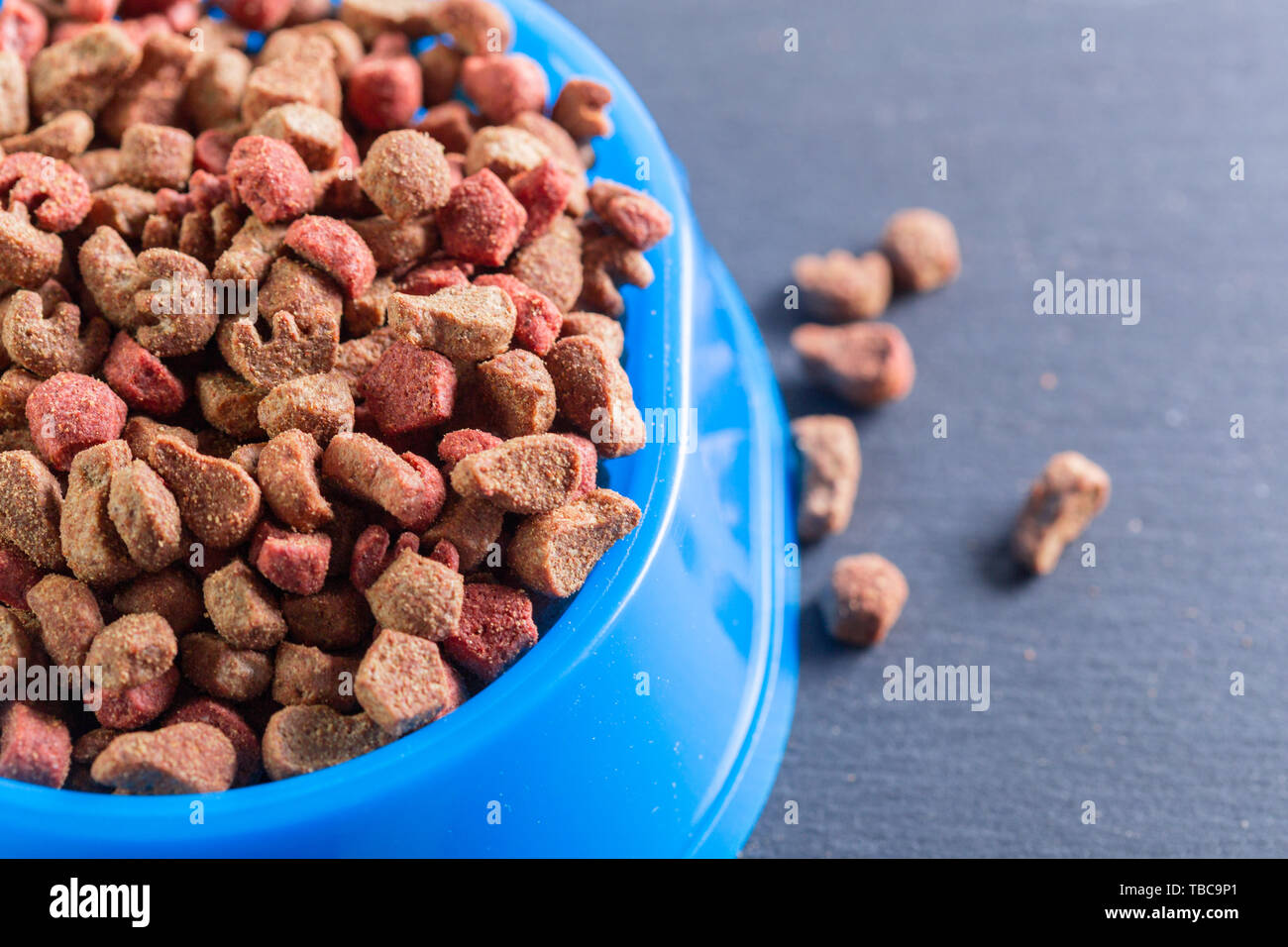 pets food on the floor Stock Photo Alamy