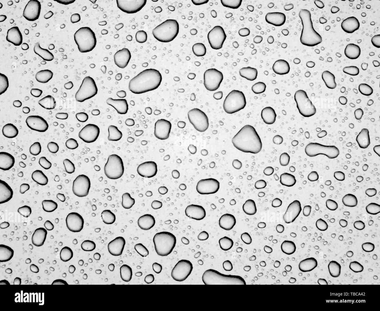 rain, ripple, wet, water, purity, pearl, droplet, liquid, wave, cleaner, motion, round, bubble, splash, droplet, effect, dew, green pine, smooth, water material, splash, droplet, micro shot, splash, water pattern Stock Photo