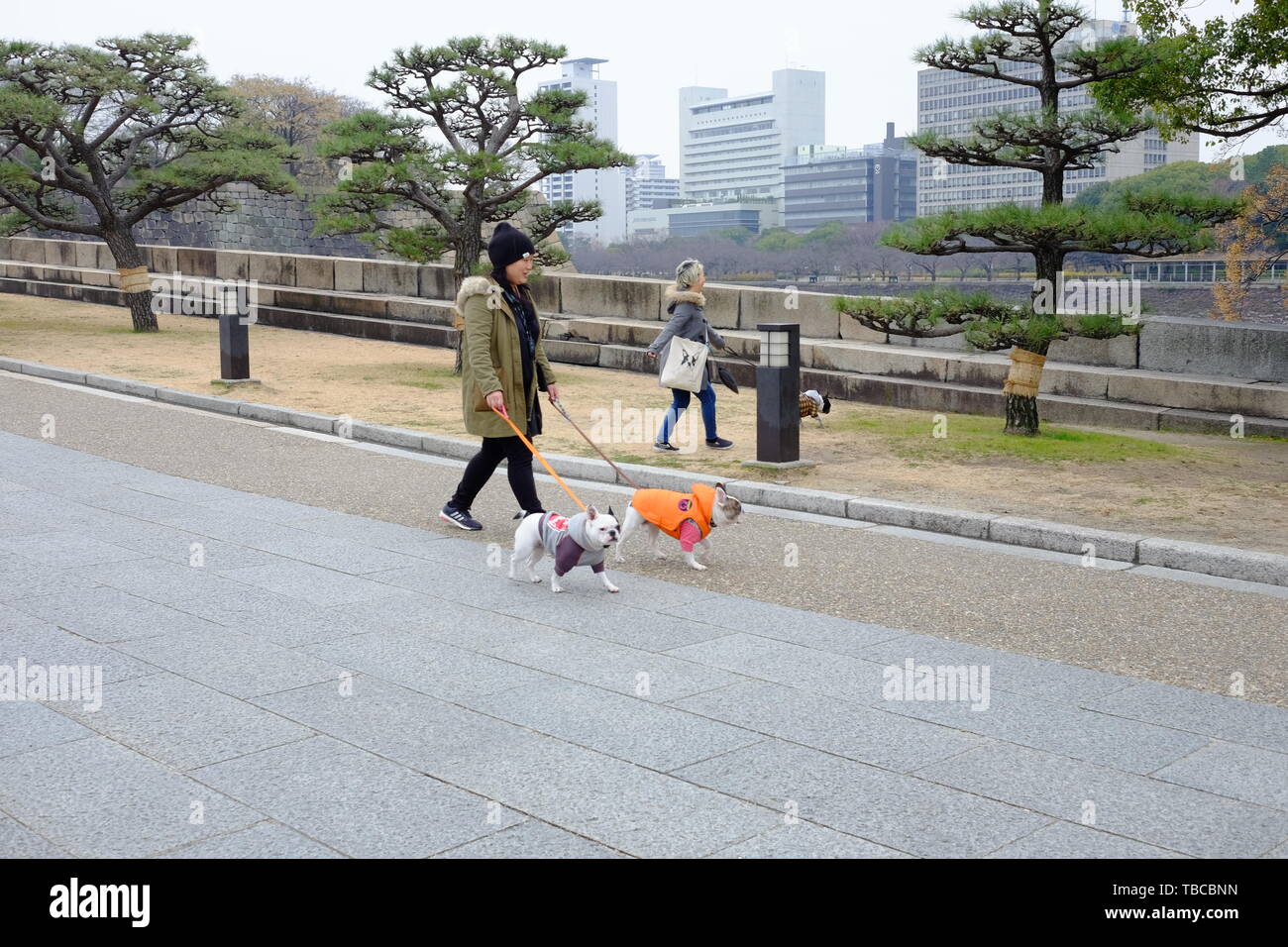 Japanes people walking around with his dogs around Osaka castle area Stock Photo