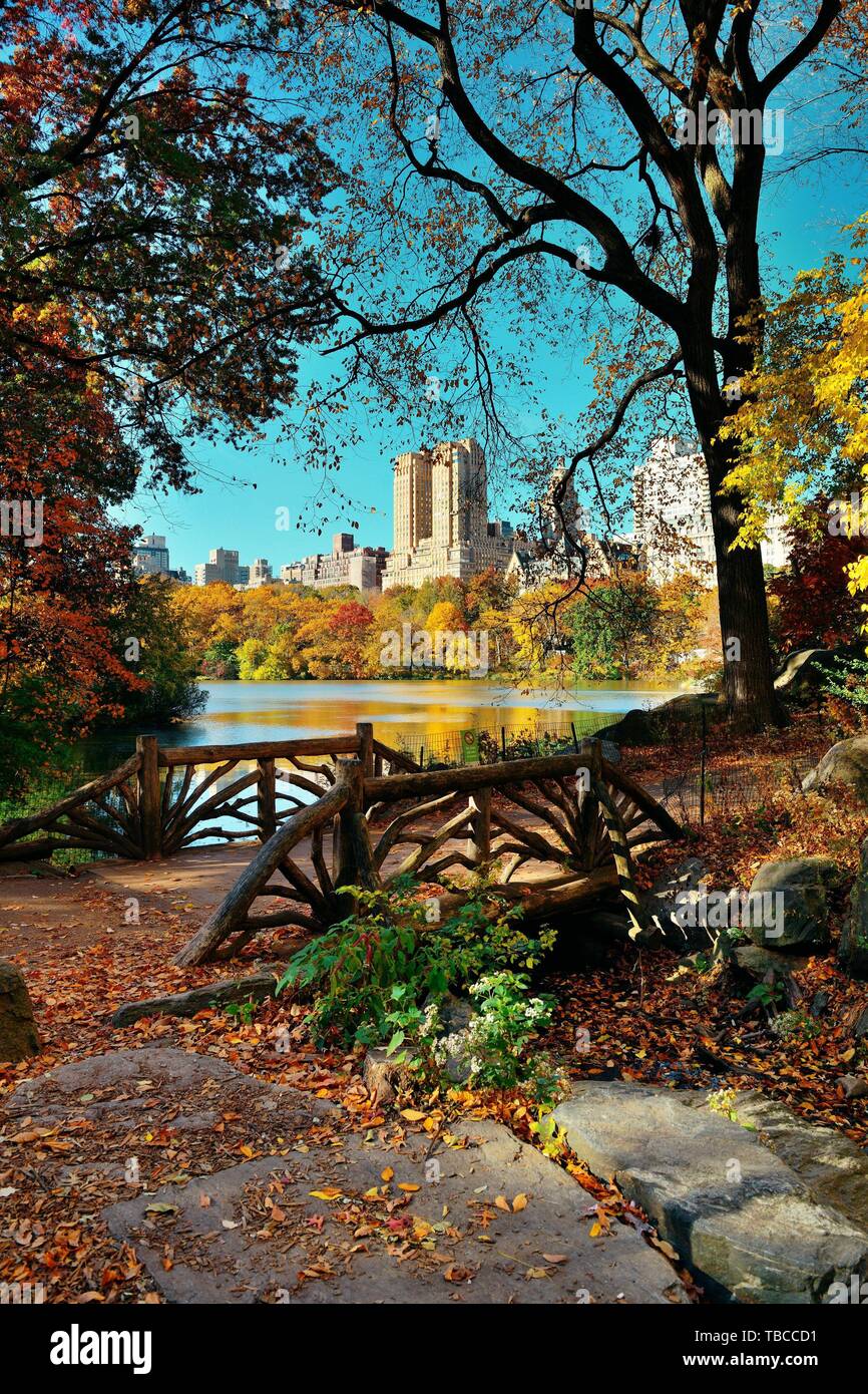 Central Park Autumn and buildings in midtown Manhattan New York City ...