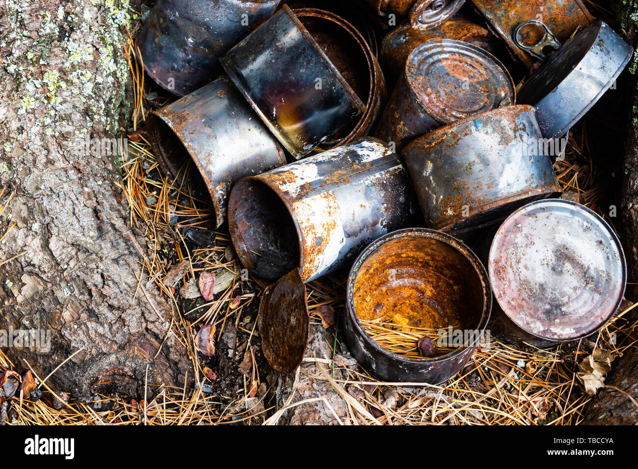 Rusty old metal cans for canned food under tree. Pollution of forest