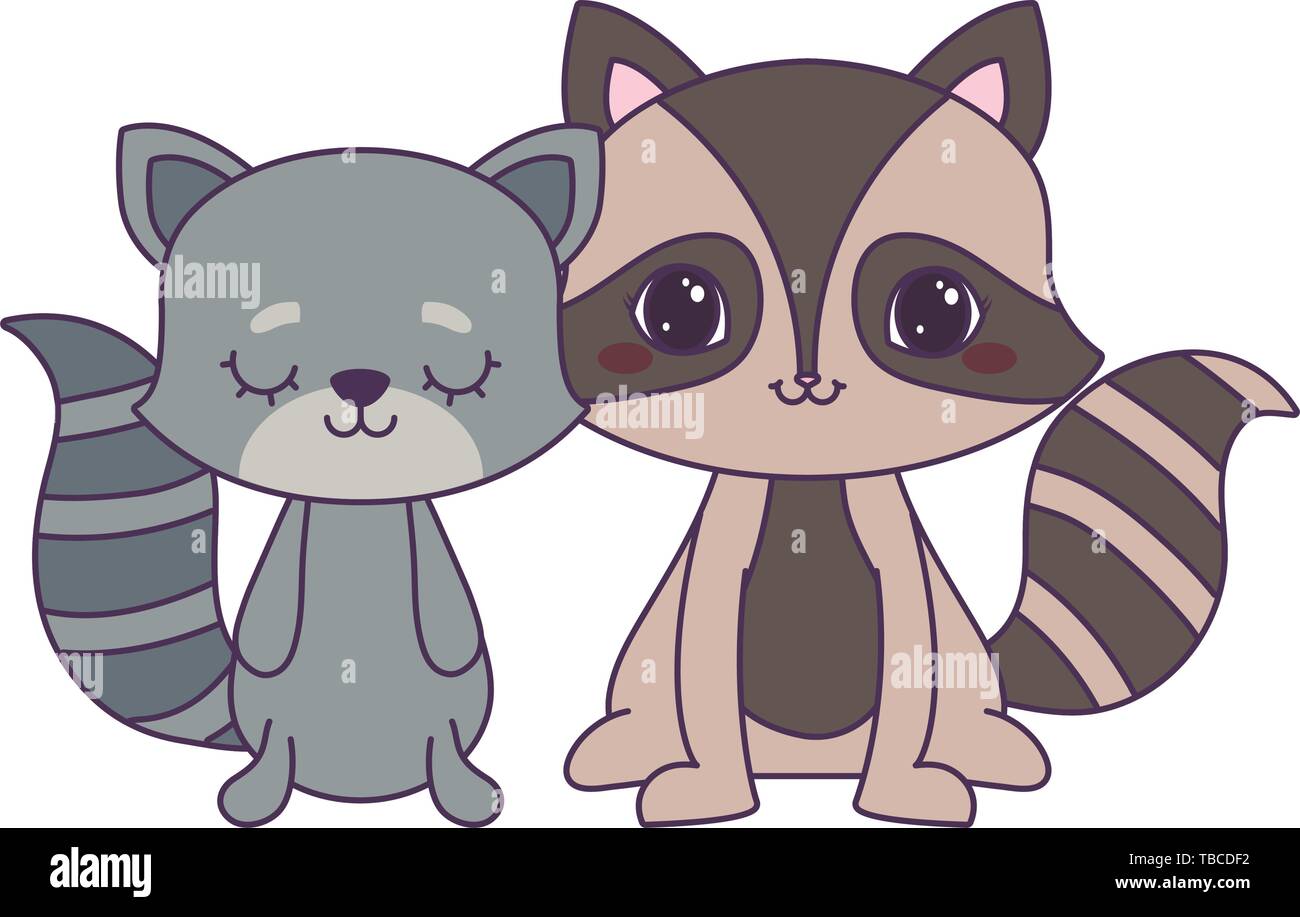 cute raccoon with cat animals vector illustration design Stock Vector ...
