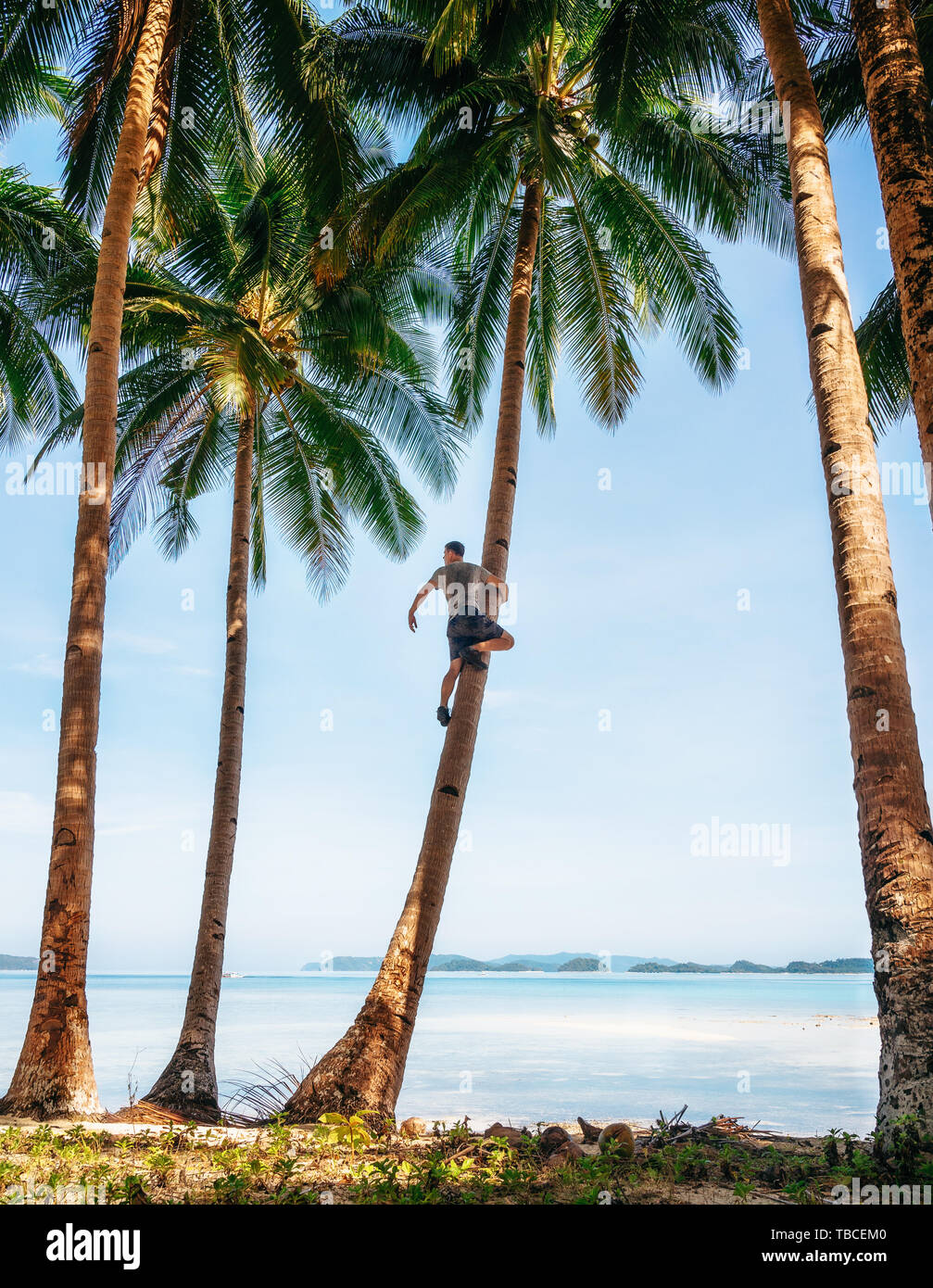 Man sits on palm tree and looks into distance. Adventure on tropical vacation. Stock Photo