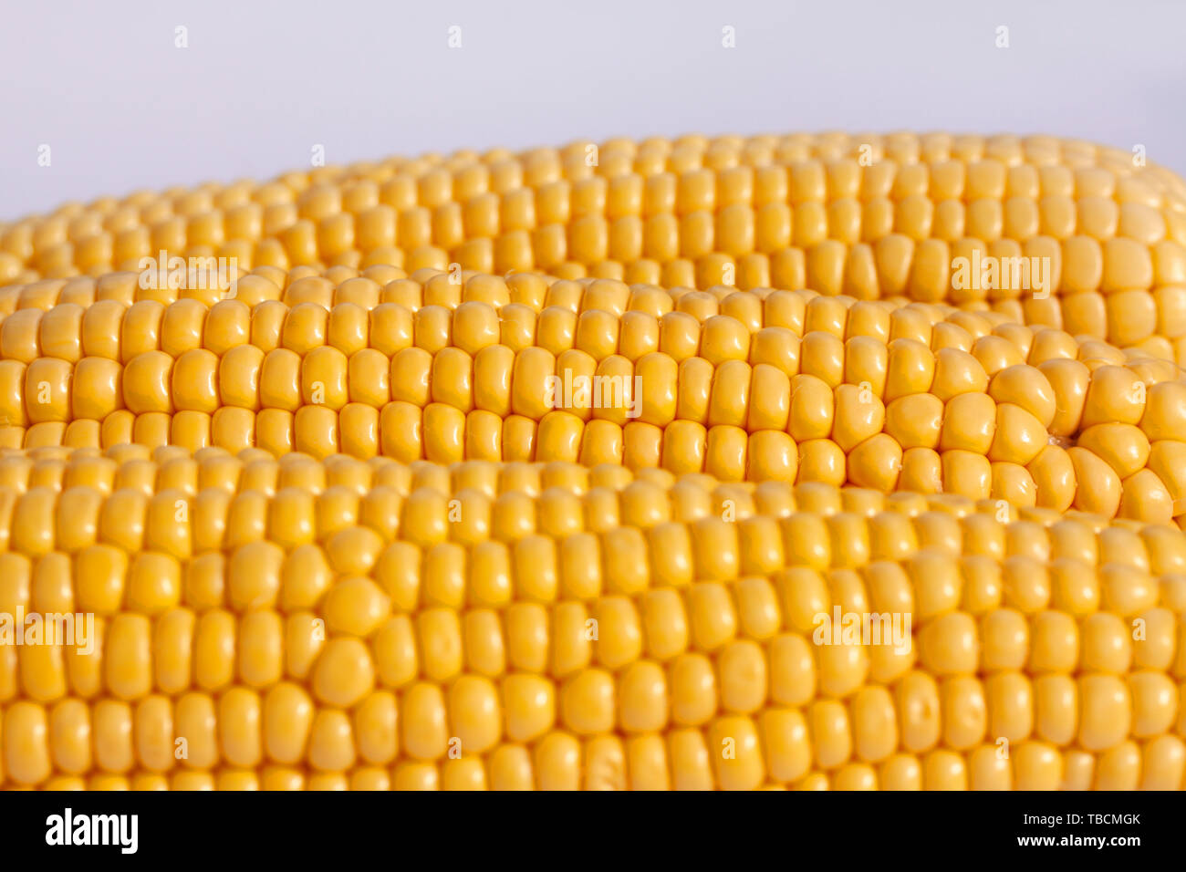 Corncobs lying side by side. Close up image Stock Photo