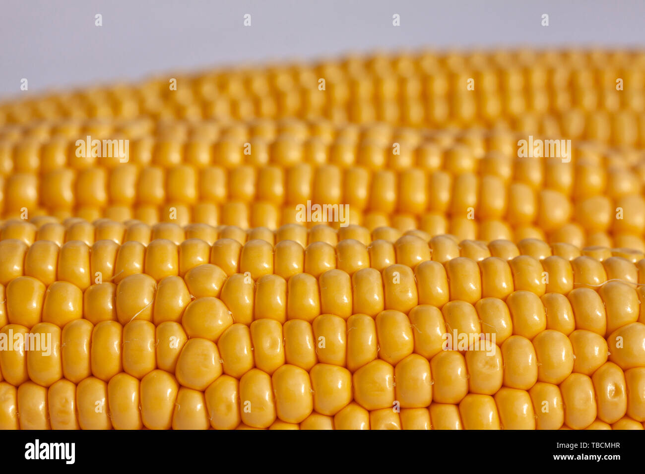 Corncobs lying side by side. Close up image Stock Photo