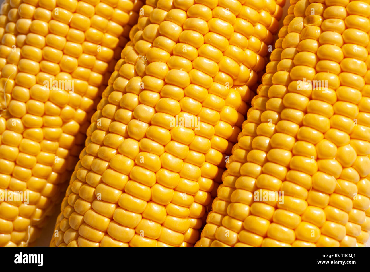 Corncobs lying side by side. Close up image Stock Photo