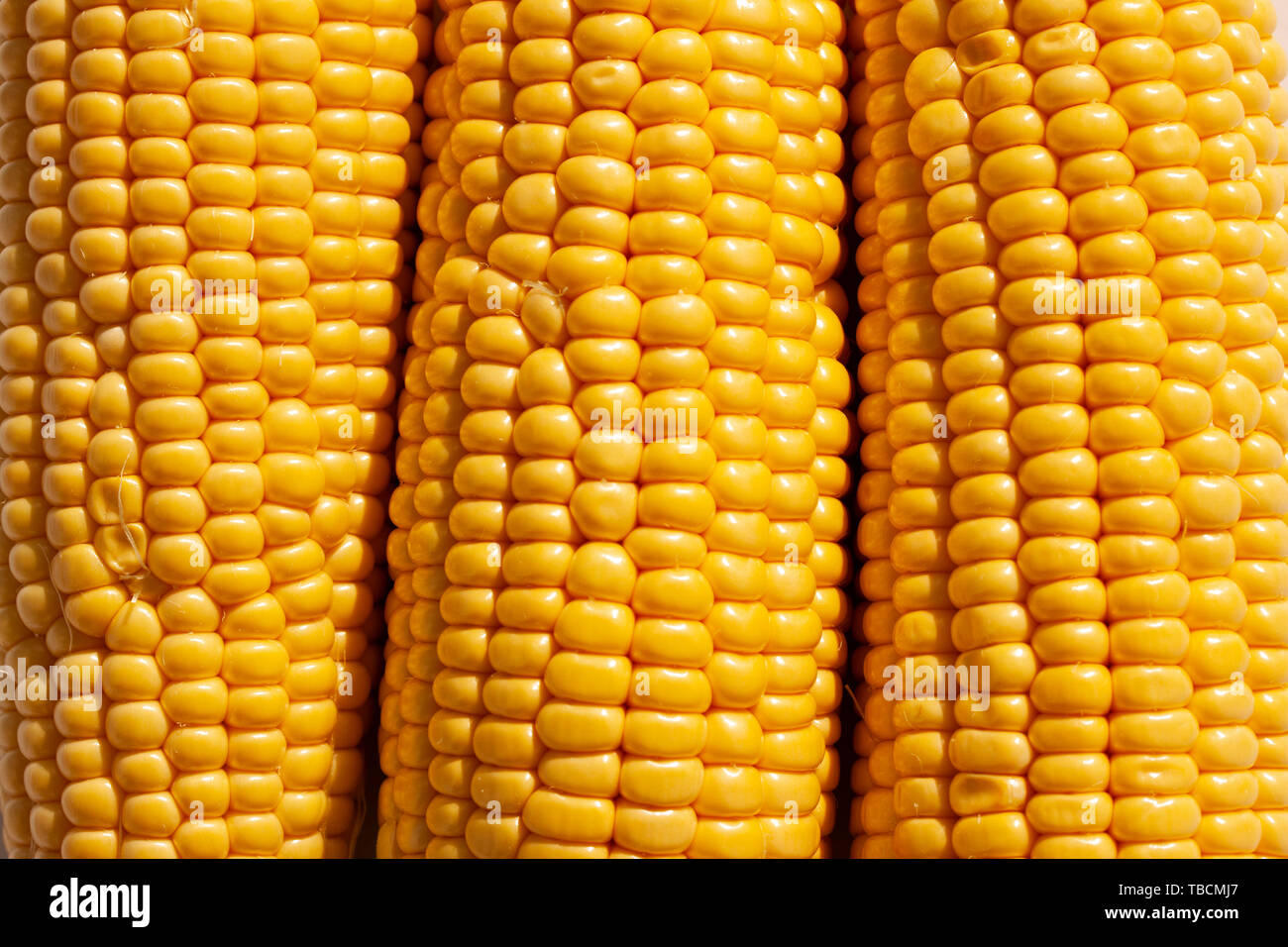 Corncobs lying side by side. Close up image Stock Photo