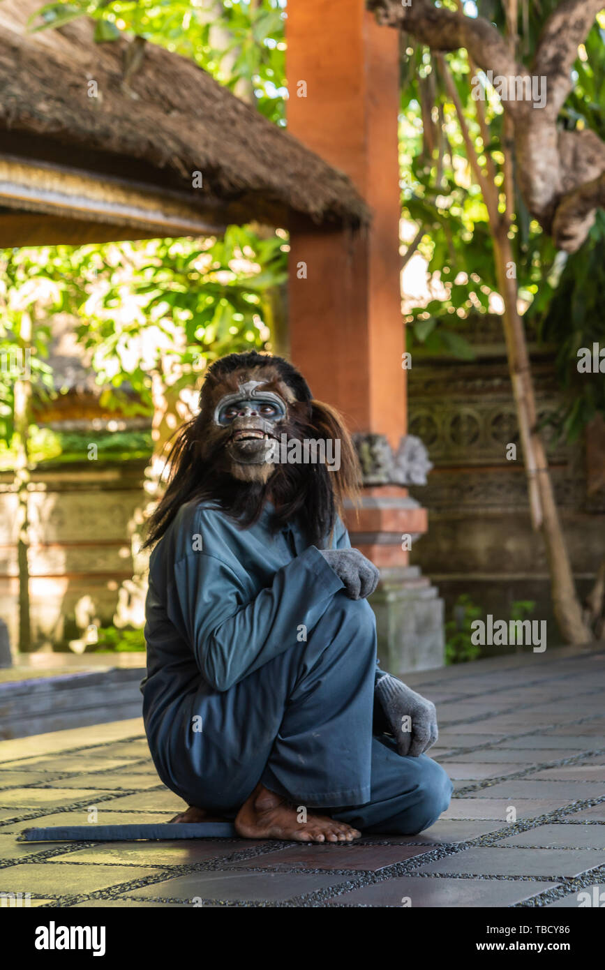 Banjar Gelulung, Bali, Indonesia - February 26, 2019: Mas Village. Play on stage setting. Closeup of monkey figure in blue jumper. Green foliage. Stock Photo