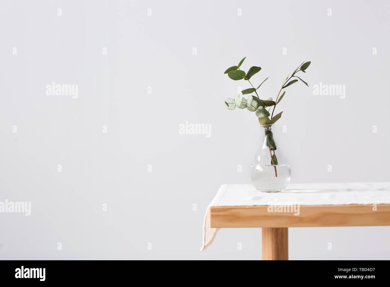 Vase with fresh eucalyptus branches on table against light background Stock Photo