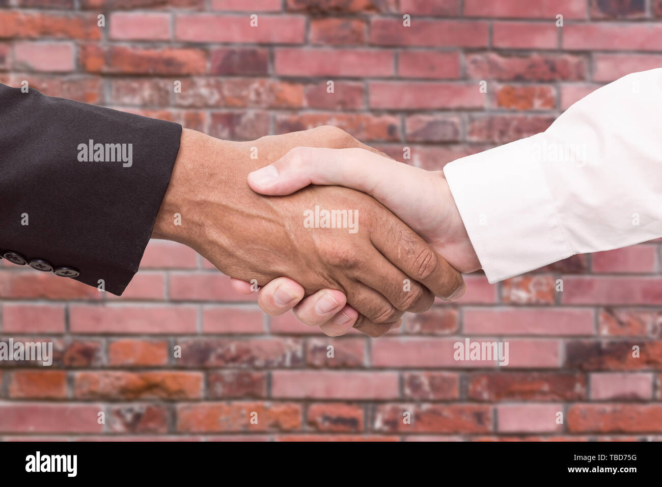 Business handshake and business people concepts. Two men shaking hands . Stock Photo
