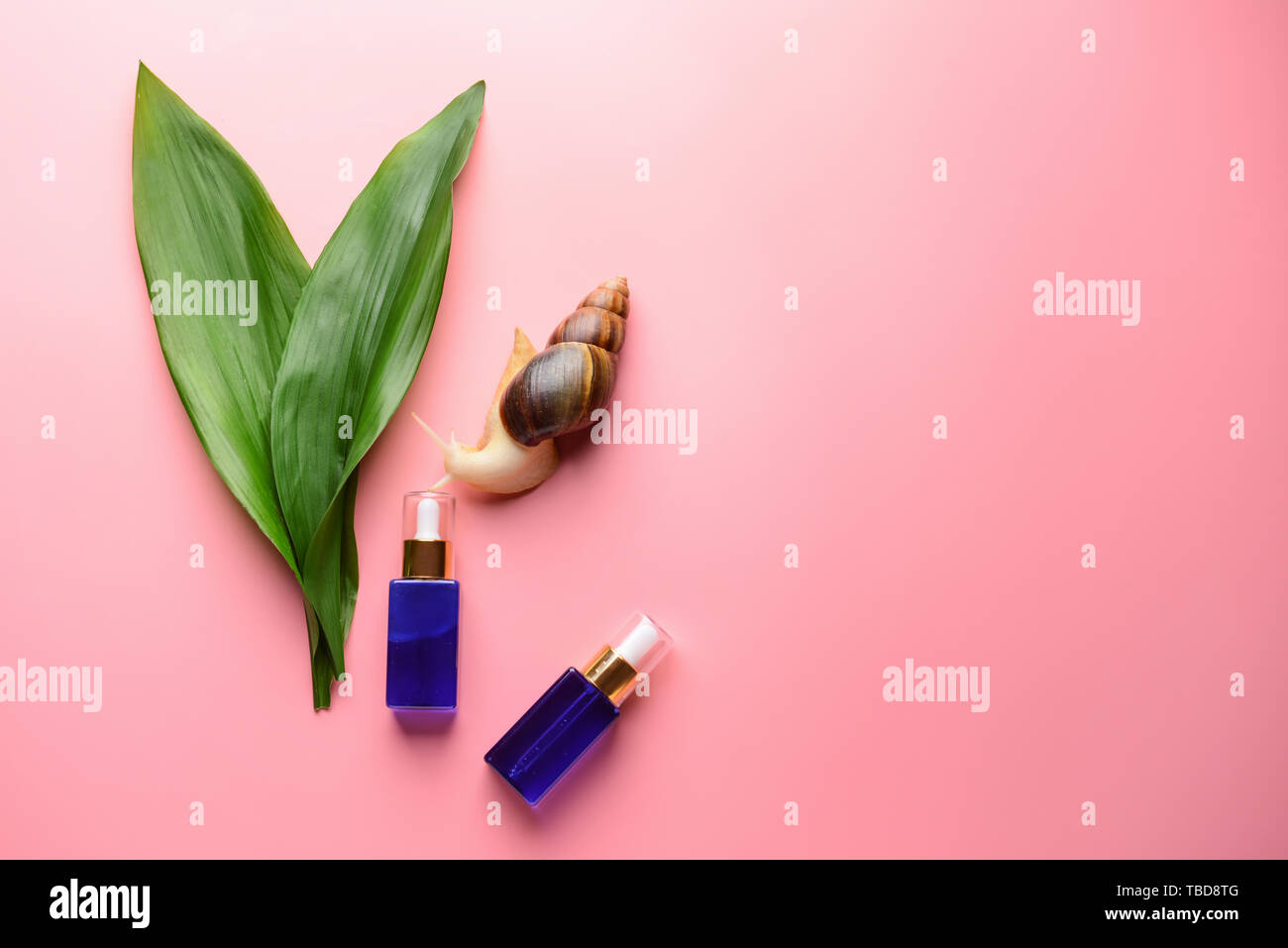Giant Achatina snail and cosmetics on color background Stock Photo