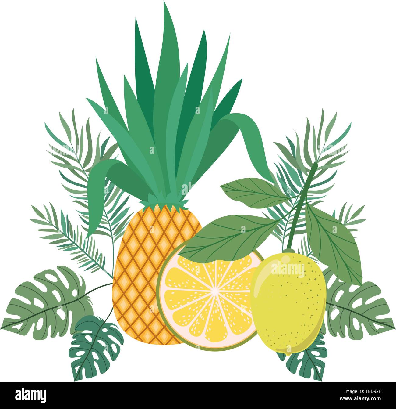 delicious tropical fruits of summer on white background Stock Vector ...