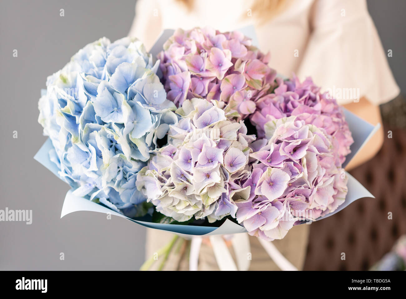 Small Beautiful bouquet of hydrangea flowers in woman hand. Floral