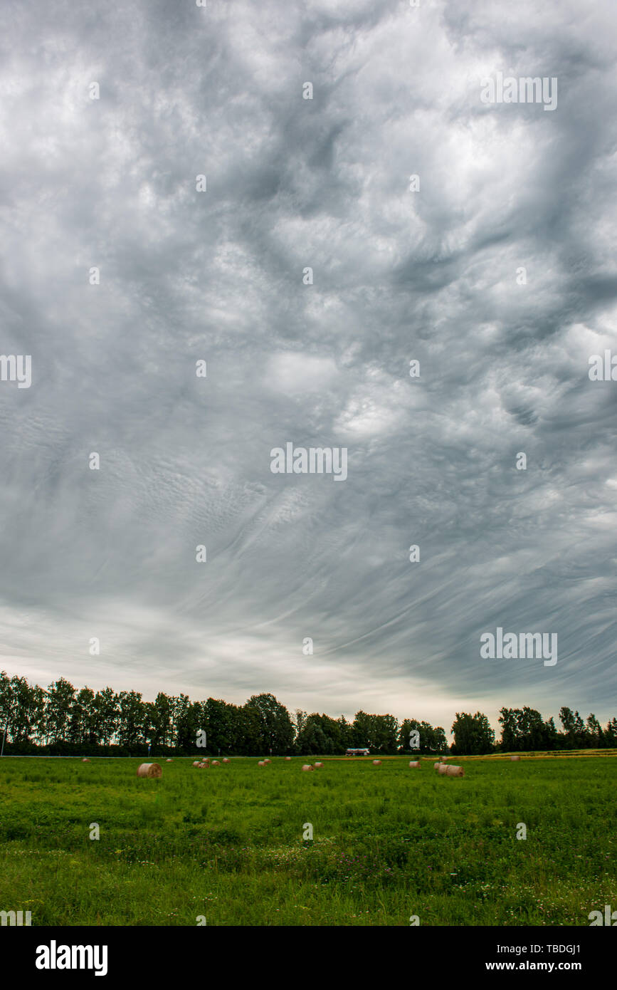 green meadow under blue sky in countryside in summer Stock Photo - Alamy
