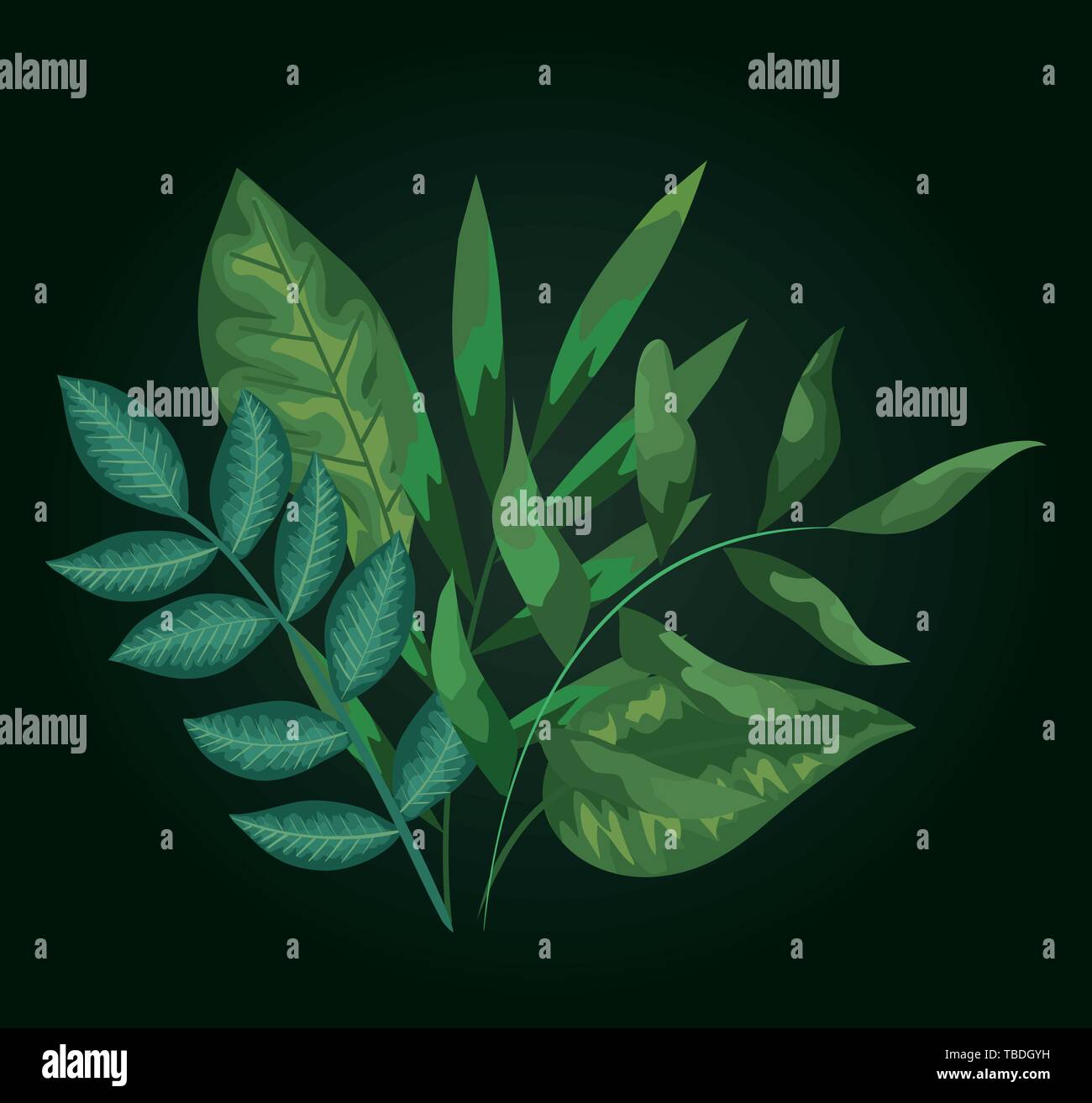 exotic plants with nature leaves style Stock Vector Image & Art - Alamy
