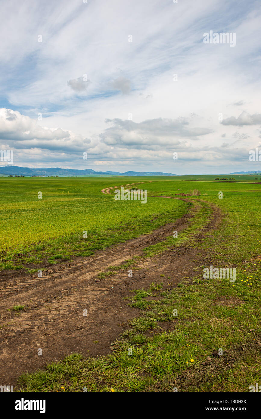 green meadow under blue sky in countryside in summer Stock Photo - Alamy