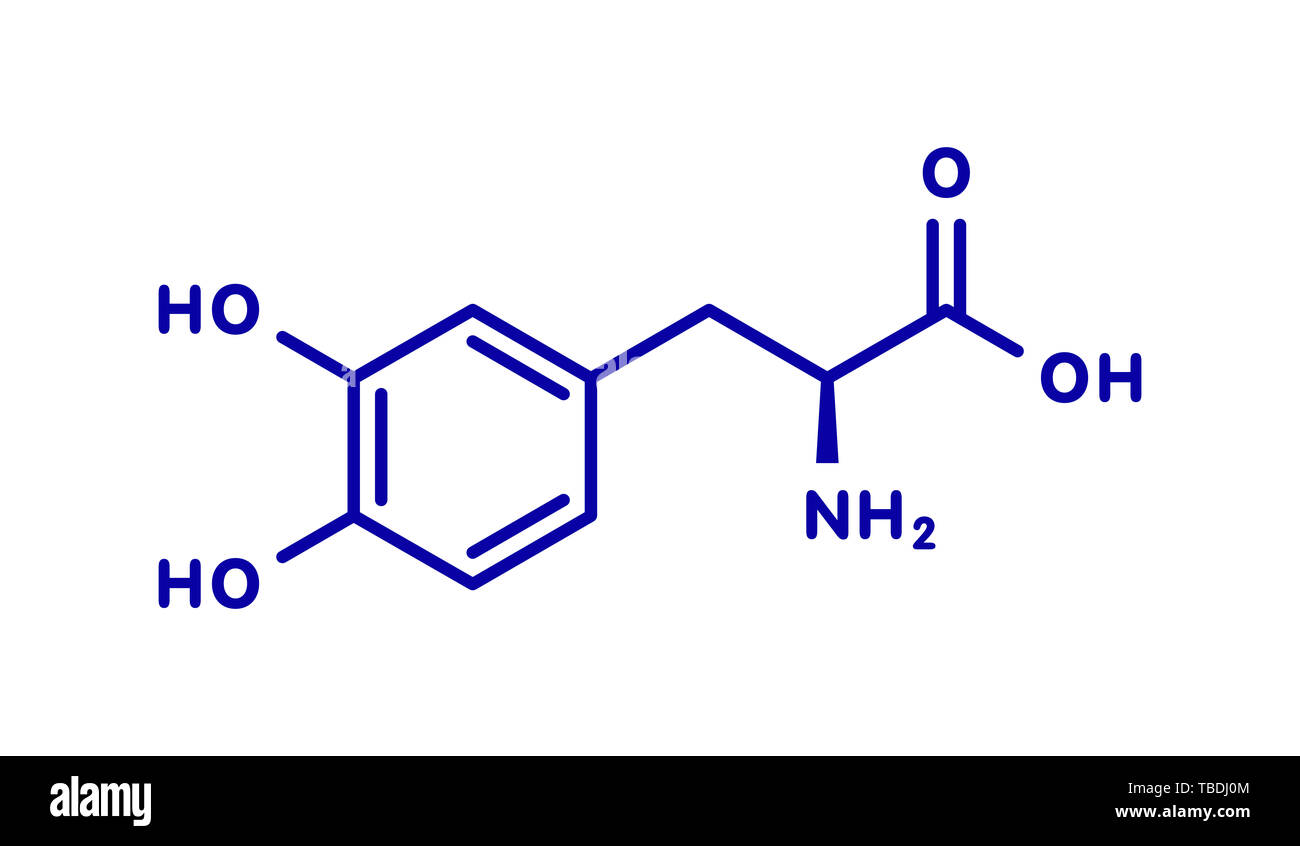 L-DOPA (levodopa) Parkinson's disease drug molecule. Blue skeletal formula on white background. Stock Photo