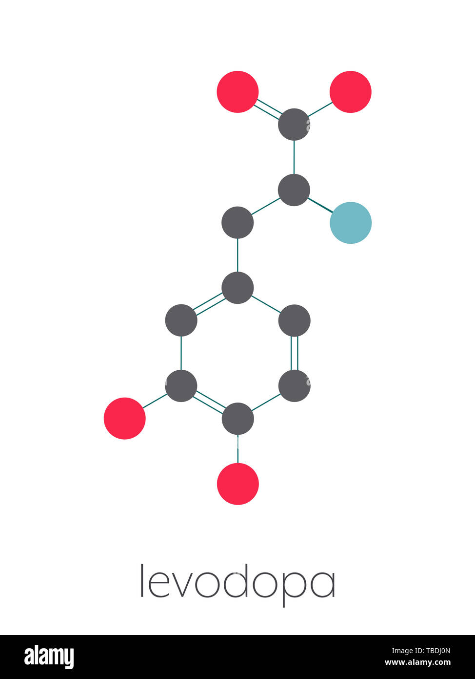 L-DOPA (levodopa) Parkinson's disease drug molecule. Stylized skeletal formula (chemical structure). Atoms are shown as color-coded circles connected by thin bonds, on a white background: hydrogen (hidden), carbon (grey), oxygen (red), nitrogen (blue). Stock Photo