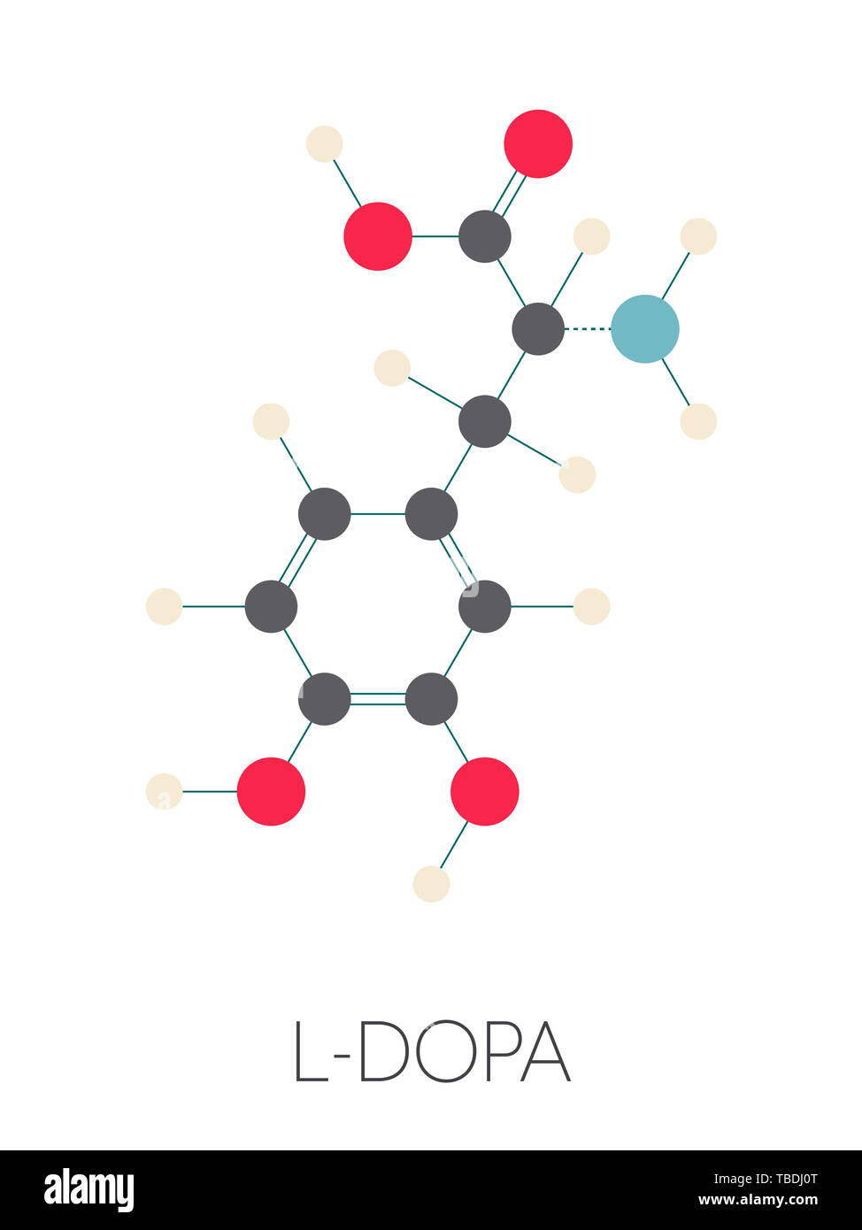 L-DOPA (levodopa) Parkinson's disease drug molecule. Stylized skeletal formula (chemical structure). Atoms are shown as color-coded circles connected by thin bonds, on a white background: hydrogen (beige), carbon (grey), oxygen (red), nitrogen (blue). Stock Photo